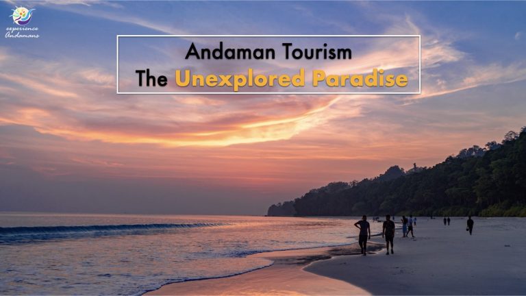 Best Water Sports Activities In Andaman In Andaman Travel Blog